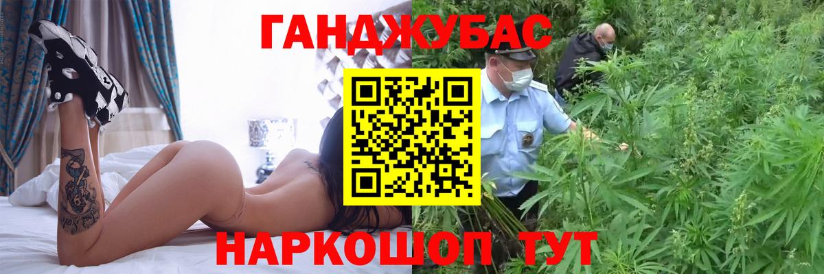 Бошки Шишки планчик Дедовск